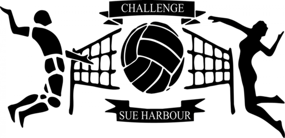Logo Challenge Sue Harbour