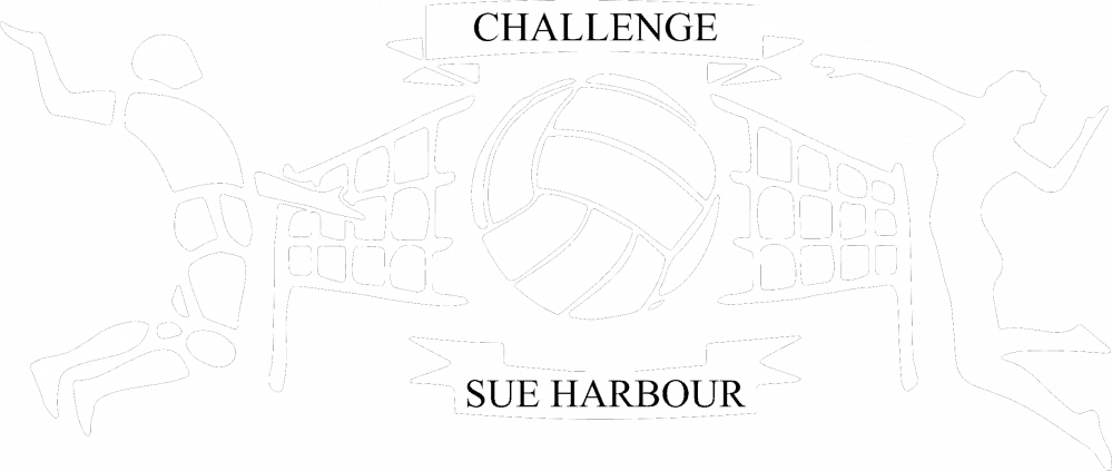 Logo Challenge Sue Harbour